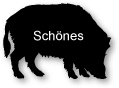 Schönes 